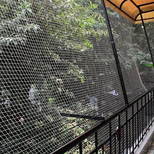 BIRDS PROTECTION