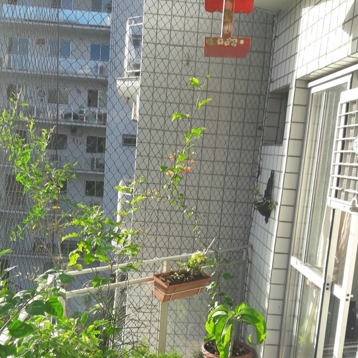BIRDS PROTECTION